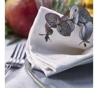 Serviette de table 100% coton 47x47 cm ÉLOGES blanc coquille