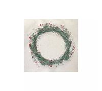 Serviette de table 25x25 Jetable Intissé Françoise PAVIOT Paquet de 20 - Couronne Vert SC
