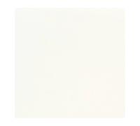Serviette de table 40x40 Jetable Intissé Françoise PAVIOT Paquet de 20 - Blanc