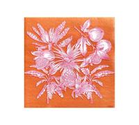 Serviette de table 40x40 Jetable Intissé Françoise PAVIOT Paquet de 20 - Fruits exotiques orange