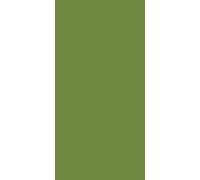 Serviette de table Duni leaf green 33x33cm 250 pcs. 1 paquet