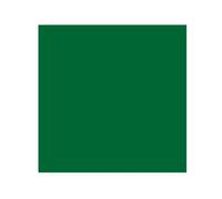 Serviette de table jetable - DART - Lot 40 - 38 x 38 cm - 2 plis gaufré - Vert foncé absorbante
