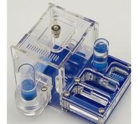 Serviette d'eau dural Atelier de Fourmis nid d'acrylique Fourmis Maison de Ferme Zone d'activité Poche Mini Nouveau nid de Fourmis (Blue)