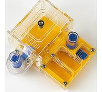 Serviette d'eau dural Atelier de Fourmis nid d'acrylique Fourmis Maison de Ferme Zone d'activité Poche Mini Nouveau nid de Fourmis (Yellow)