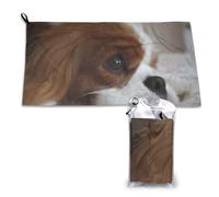 Serviette en microfibre à séchage rapide pour adultes, motif Cavalier King Charles Spaniel, 40,6 x 56,9 cm