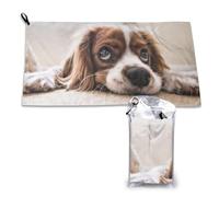 Serviette en microfibre à séchage rapide pour adultes, motif Cavalier King Charles Spaniel, chiens mignons, 40,6 x 56,9 cm