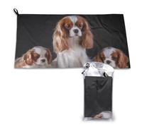 Serviette en microfibre à séchage rapide pour adultes, motif Cavalier King Charles Spaniel, mère et petits, 40,6 x 56,9 cm
