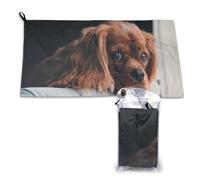 Serviette en microfibre à séchage rapide pour chiot Ruby Cavalier King Charles Spaniel, 40,6 x 18,8 cm, pour adultes