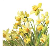 Servietten Blumen Lot de 20 prairie de jonquilles jaunes - Décoration de table pour printemps et été - 33 x 33 cm