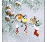 Servietten Weihnachten finemark - Lot de 20 serviettes de table - 33 x 33 cm - Motif oiseaux et chaussettes de Noël - 3 couches - Papier multicolore - Décoration de table d'hiver