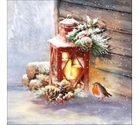 Servietten Weihnachten Lot de 20 serviettes en papier Motif oiseaux sur lanterne,Animaux,Hiver,Noël,Décoration de table 33x33cm