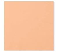 Serviettes de pêche 33 x 33 cm 20 pièces EX.TRA.