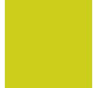 Serviettes de table Duni kiwi 33x33cm 1 pli 500 pcs