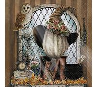 Serviettes de table pour fête d'Halloween - 40 pièces | 2 paquets de serviettes à cocktail de 20 pièces | Motif The Witching Hour 12,7 x 12,7 cm