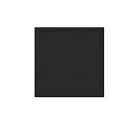Serviettes Duni Noir 3 couches 33x33 Noir