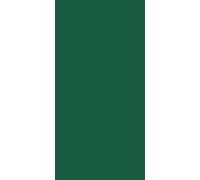 Serviettes Duni vert chasseur 33x33cm 3 plis 250 plis