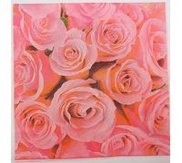 Serviettes en Papier Fleurs Roses Serviettes en papier jetables,douceur et moelleux,idéales pour Fêtes,Traiteur,Anniversaires,Intérieur ou Extérieur tous les jours5 Paquet(33x33cm)