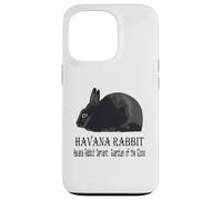 Serviteur Lapin Havane Gardien du Gloss Coque pour iPhone 13 Pro