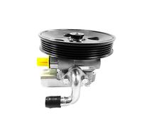 Servo Pompe Hydraulique Pour Cheetah CS10 Pour Landwind Pour X5 Pompe De Surpression De Boîtier De Direction 5PK 3407110HB