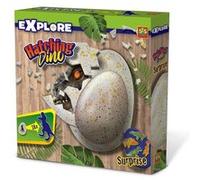 SES Creative – Dinosaure prêt à éclore – Version allemande – Couleurs diverses
