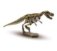 SES Creative - Excavation Recherche Ton Tyrannosaure - Squelette de T-rex 20 x 20 cm Multicolore
