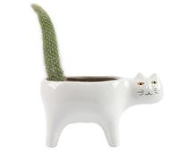Sessleger Mignon Chat en CéRamique Jardin Pot de Fleur Animal Image Cactus Plante JardinièRe Succulente Plante Conteneur DéCoration de Table Blanc