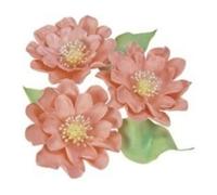 Set 3 Coupeur À Éjection Fleurs De Nénuphar Eva Décoration Gâteaux