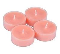 set 4 bougies maxi chauffe plat trendy parfum gingembre orangé Rose G