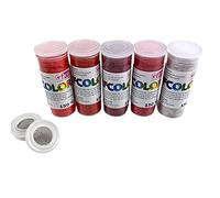 Set 5 Couleurs Poudre Efcolor 10 ML, Nuancier Rouge, 2 Tamis, pour émaillage à Froid, Cuisson à 150°C