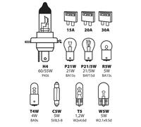 Pilot LA 58153 Bâche H4 Ampoule Lampe Halogène de 12 V 8 lampes