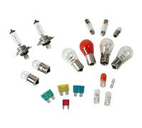 Set Ampoules de Rechange 19 Pièces, Halogène 2X H7 - 12V LAMPA