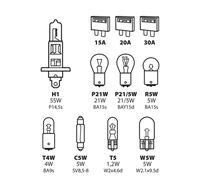 Pilot LA_58155 Set d'éclairage halogène H1 12 V avec 8 ampoules