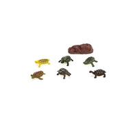 Set animaux : Tortue (20 x 19 cm)