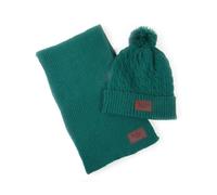 Set bonnet & écharpe Logo The Legend of Zelda - Difuzed