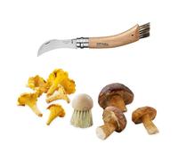 Set brosse à champignons et couteau à champignons pliant N°8
