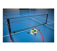 Set complet de mini pickleball Carrington Blanc TU