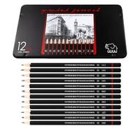 Set Crayon Materiel de Dessin et Croquis, 12 Pièces, Avec Boîte En Fer Boîte, Crayons Dessin Sketch Set, avec crayons graphite de 2H à 8B, pour Enfants Adultes Professionnels de croquis