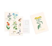 Set de 10 cartes postales Fleurs Une collection de 10 cartes postales autour des fleurs - Zoé De Las Cases - Hachette Pratique - Coffret - Papeterie