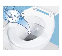 Set de 15 pastilles détartrantes pour WC Wenko by Maximex