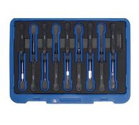 Set De 19 Outils De Déblocage Universels - Code BGS60100 FBGS60100 BGS Atelier