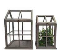 Set de 2 Mini serres d'intérieur en Bois Gris et Verre