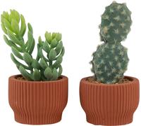 set de 2 succulentes et cactus artificiels avec petits pots en terre cuite - Plantes artificielles faussement réelles Décoration 14,5/15,5cm