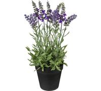 set de 3 lavandes artificielles dans un pot en plastique, hauteur 35 cm, facile d'entretien et décoratif