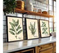 Set de 3 posters de plantes aquarellées - Style vintage ferme - Affiches pour décoration de chambre, cuisine et bureau à domicile (21x30 cm)