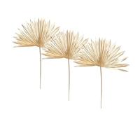 Set de 3 Tiges séchées dorées H 50 cm - Atmosphera