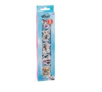 Set de 5 gommes 3D and co - DIDDL - A073706 - Bleu - Dès 5 ans