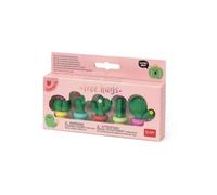 Set de 5 gommes parfumees cactus