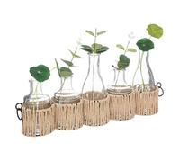 Set de 5 soliflores ""Cosy"" en verre beige H29 5cm - Atmosphera Créateur d'intérieur