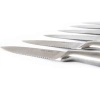 Set de 6 couteaux professionnels de viande avec scie et lame de 2 mm d'épaisseur.