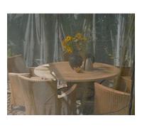 CANOPIA by Palram – Moustiquaire pour Martinique 5000 – Gris